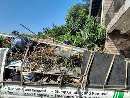 Best Hoarding Cleanup  in Ham Lake, MN